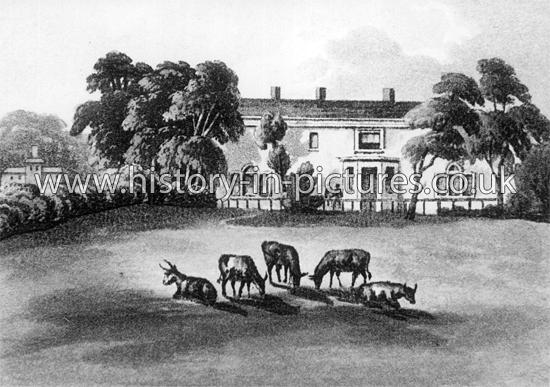Park Hall, Near Epping, The Seat of Marsh, Essex c.1800's